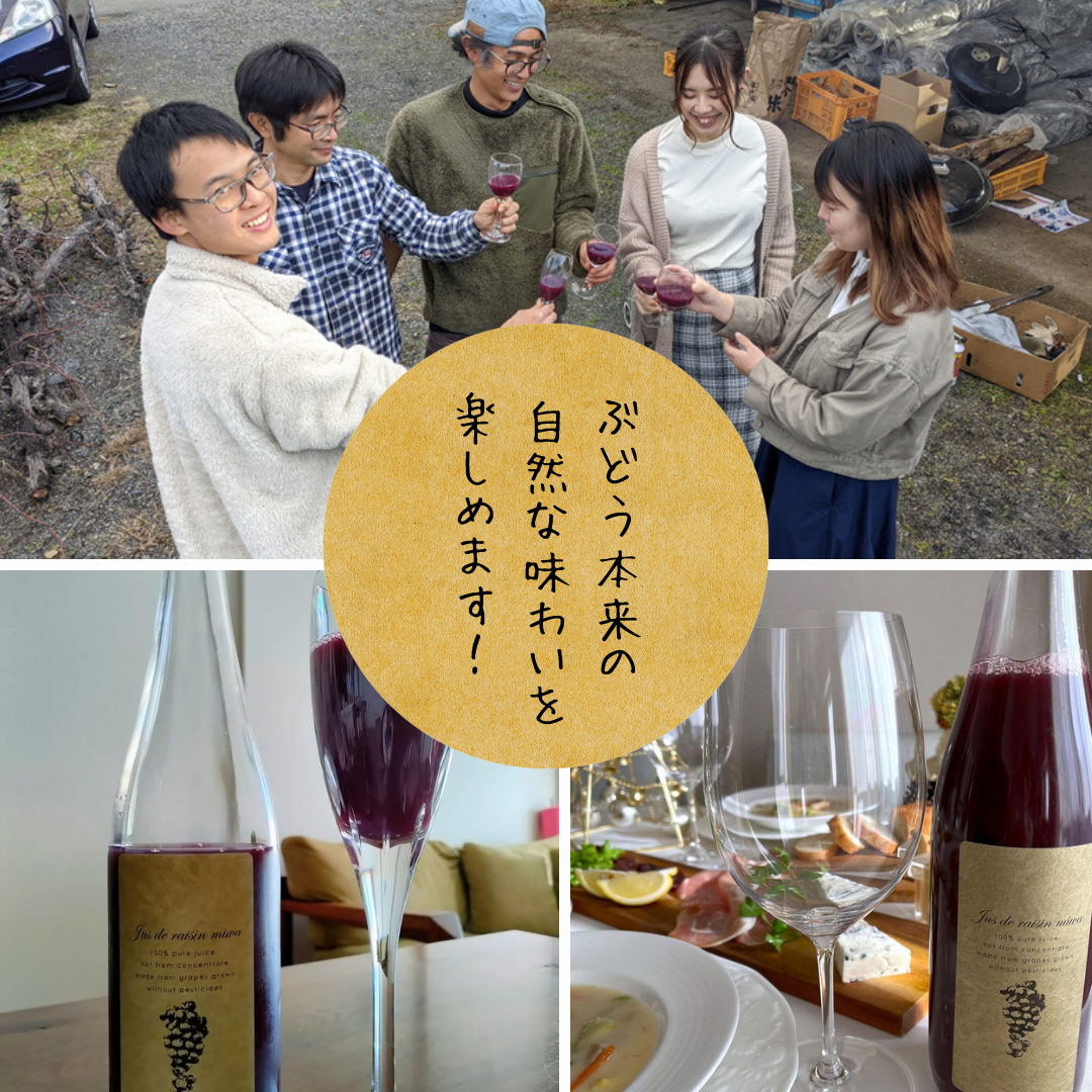 三和ぶどうジュース 2本セット【朔】