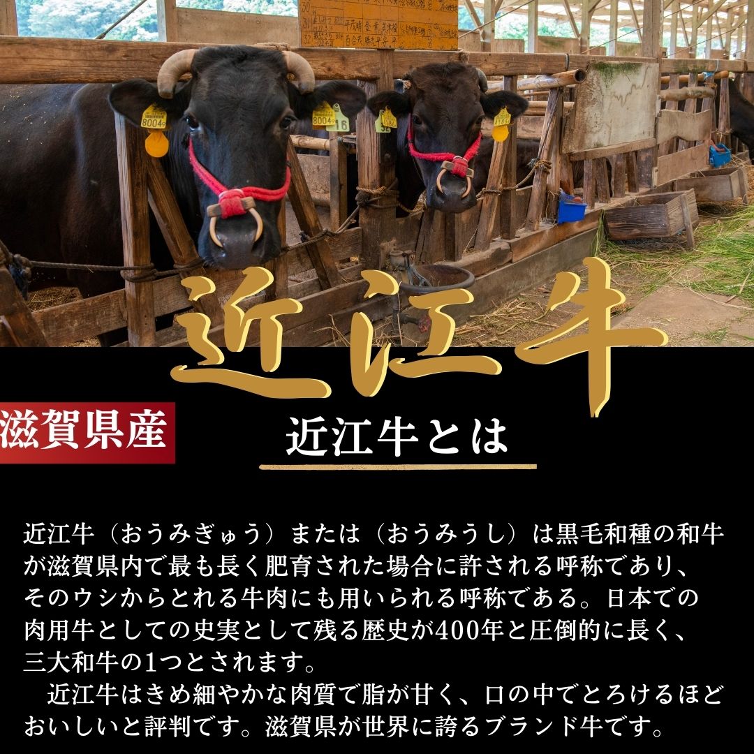 近江牛ウデミスジ
