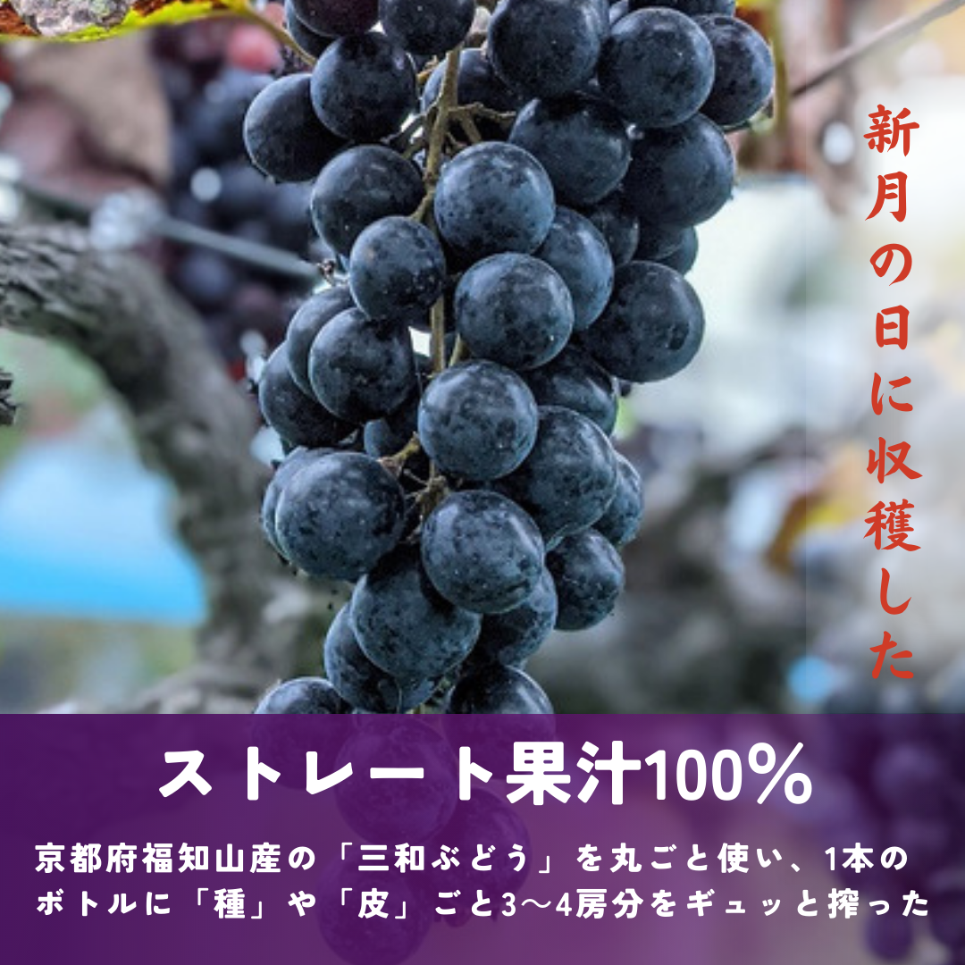 三和ぶどうジュース 2本セット【朔】