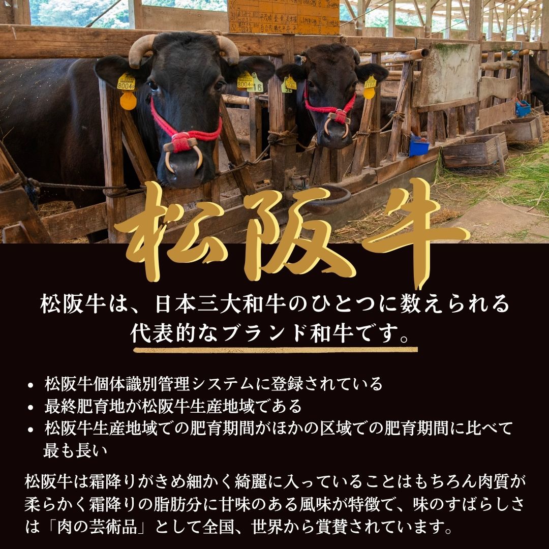 A4等級以上 松阪牛焼肉お任せセット400g
