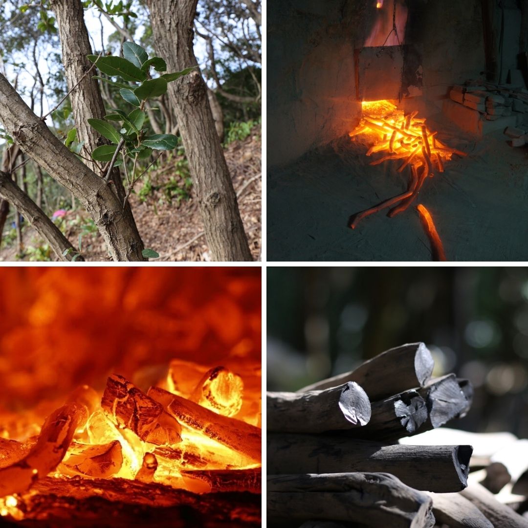 One Kishu Bincho-tan charcoal stick (trial size)