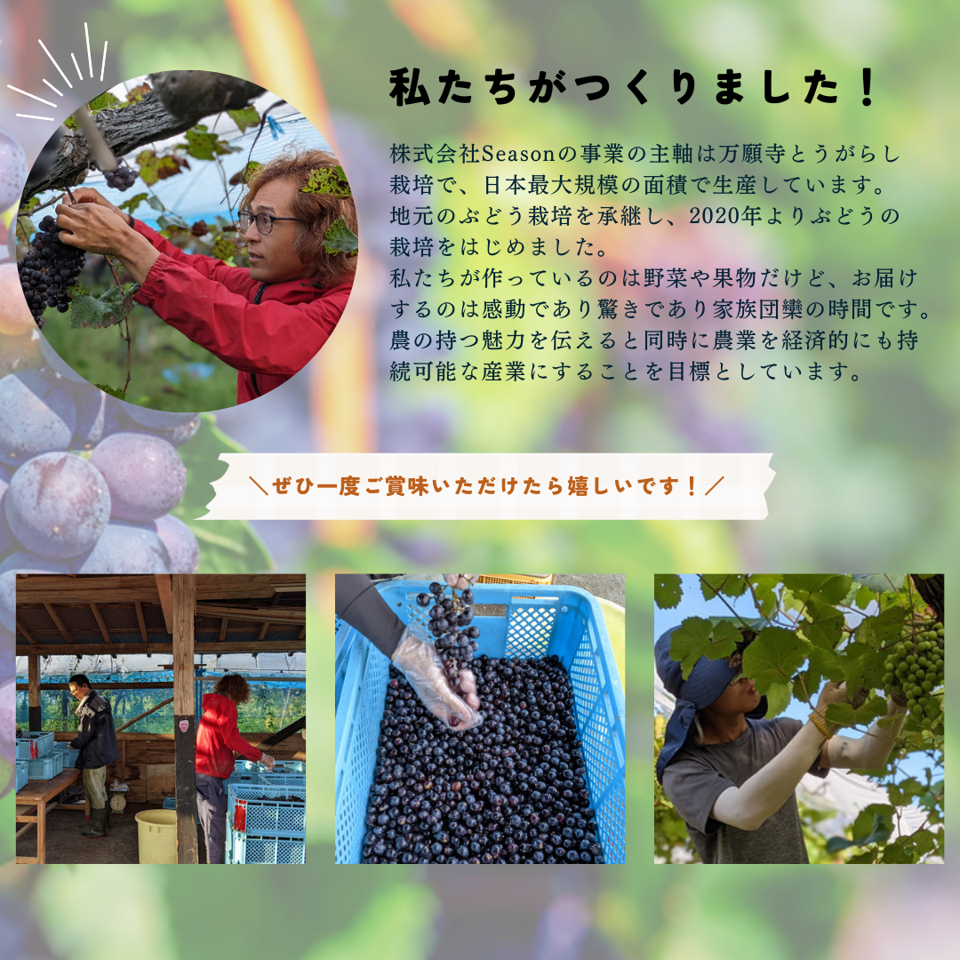 三和ぶどうジュース 2本セット【朔】