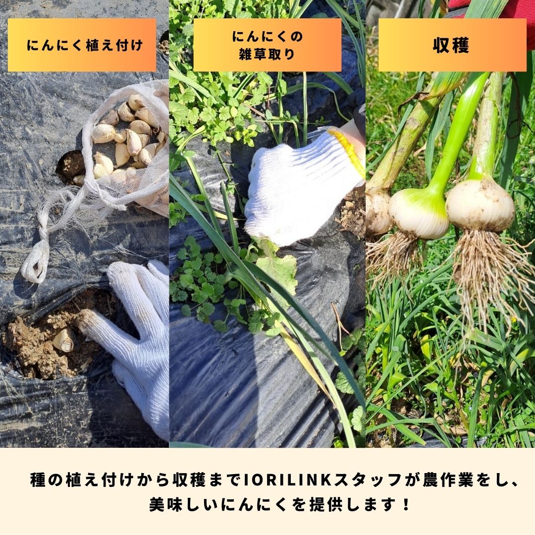 やまとの有機栽培ニンニク【奈良県産】