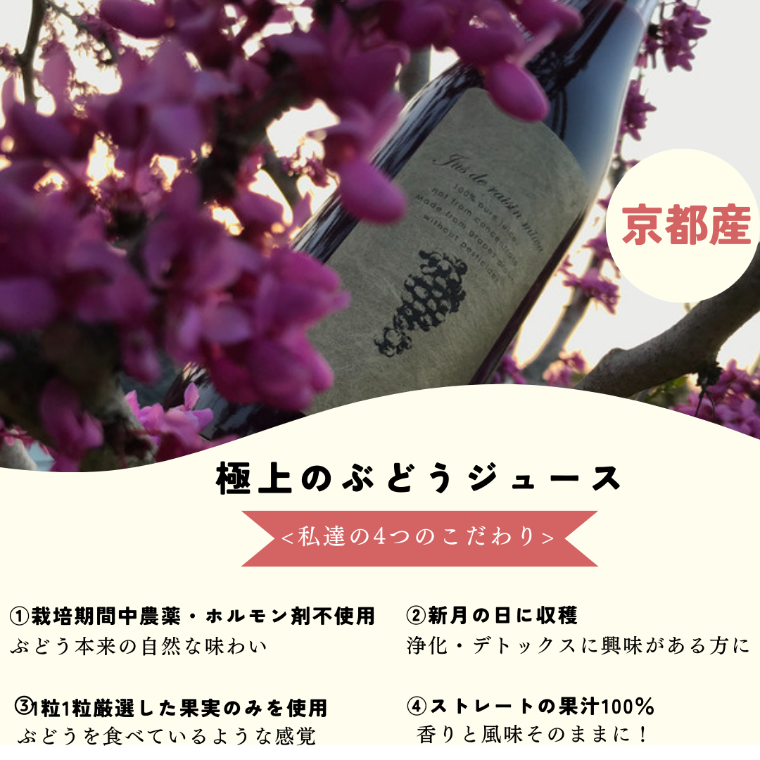 三和ぶどうジュース 2本セット【朔】