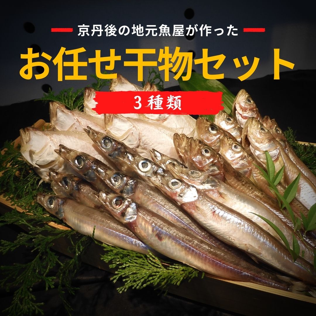 京丹後の地元魚屋が作ったお任せ干物セット 3種 詰め合わせ