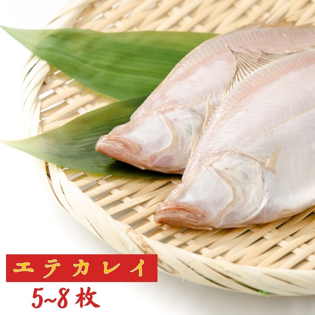 京丹後の地元魚屋が作ったお任せ干物セット 3種 詰め合わせ