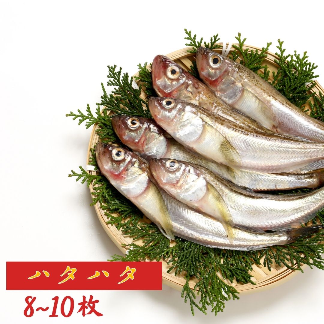 京丹後の地元魚屋が作ったお任せ干物セット 3種 詰め合わせ