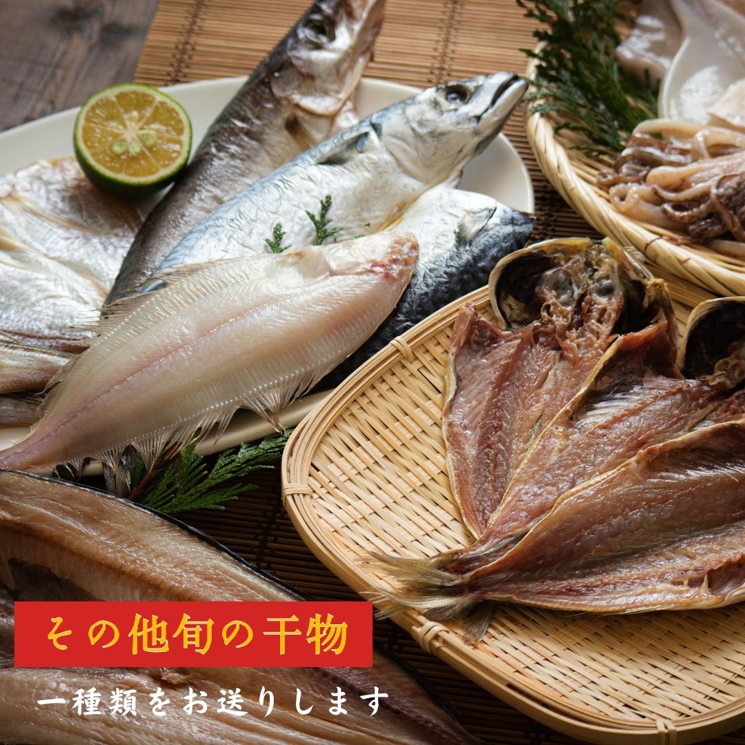 京丹後の地元魚屋が作ったお任せ干物セット 3種 詰め合わせ