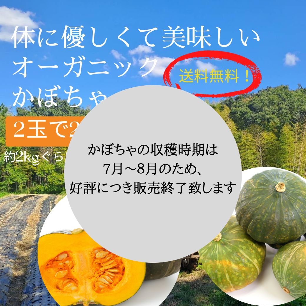 やまとの里山のかぼちゃ(有機かぼちゃ)2玉入り