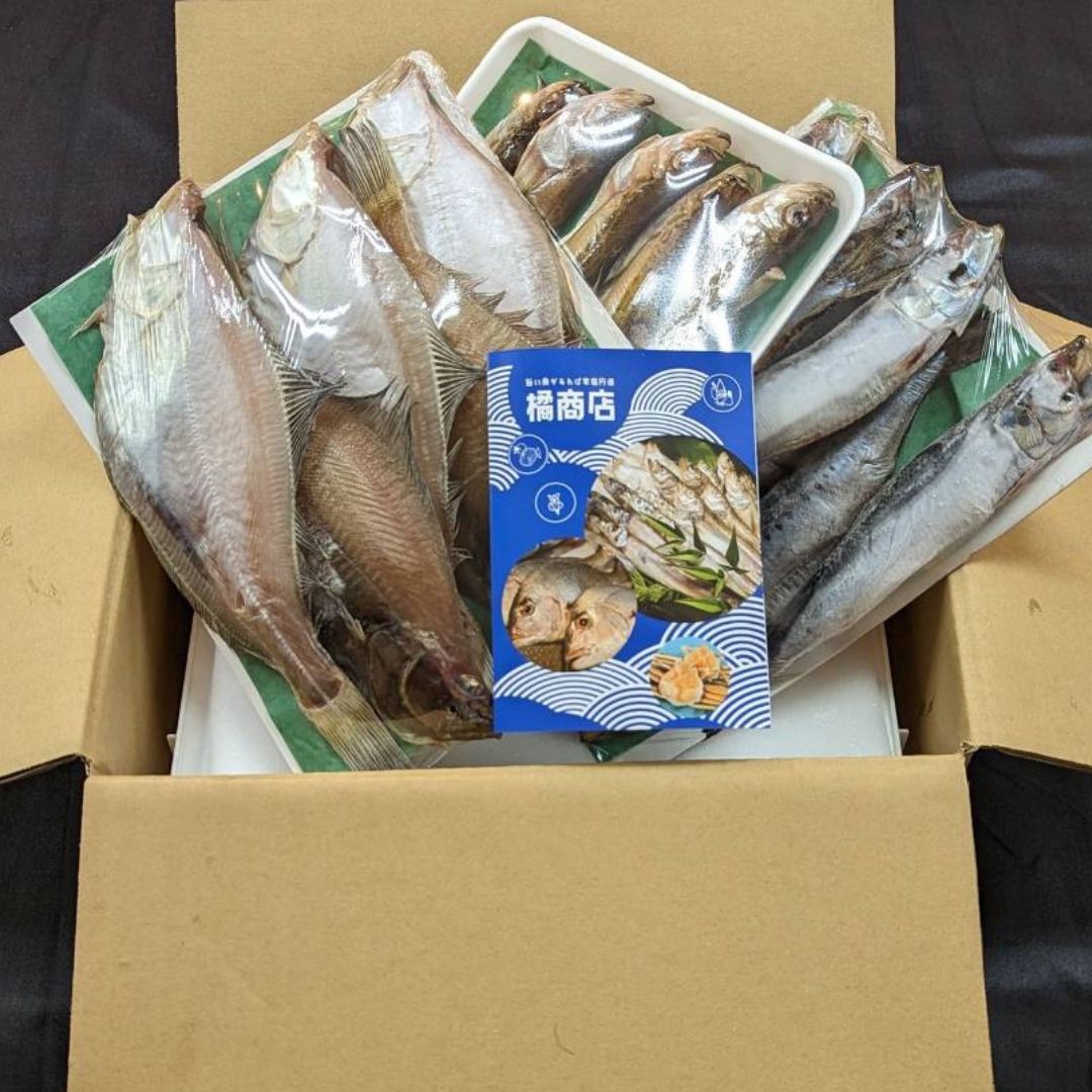 京丹後の地元魚屋が作ったお任せ干物セット 3種 詰め合わせ